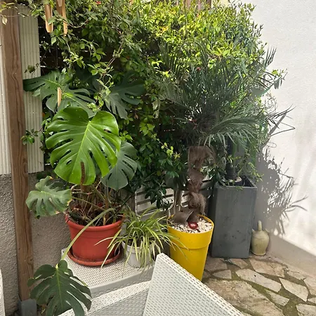 Beautiful With Courtyard, Parking And Optional