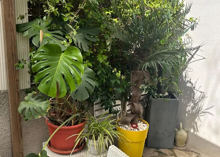 Beautiful With Courtyard, Parking And Optional